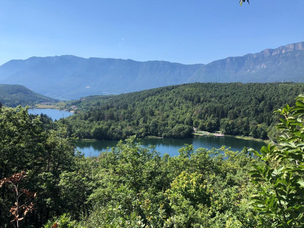 B&B Unterhabsbergerhof Appiano Sulla Strada Del Vino Bagian luar foto