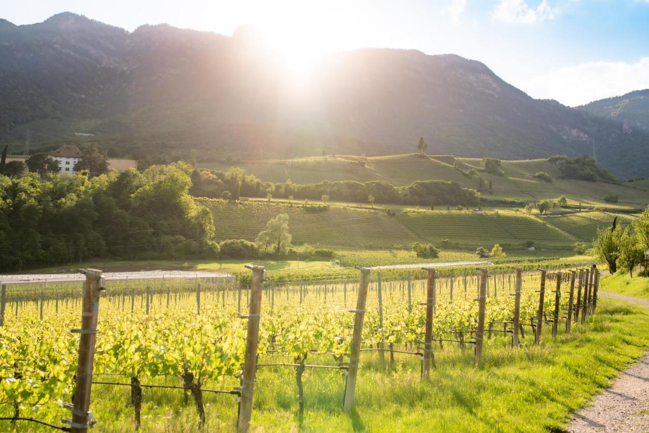 B&B Unterhabsbergerhof Appiano Sulla Strada Del Vino Bagian luar foto