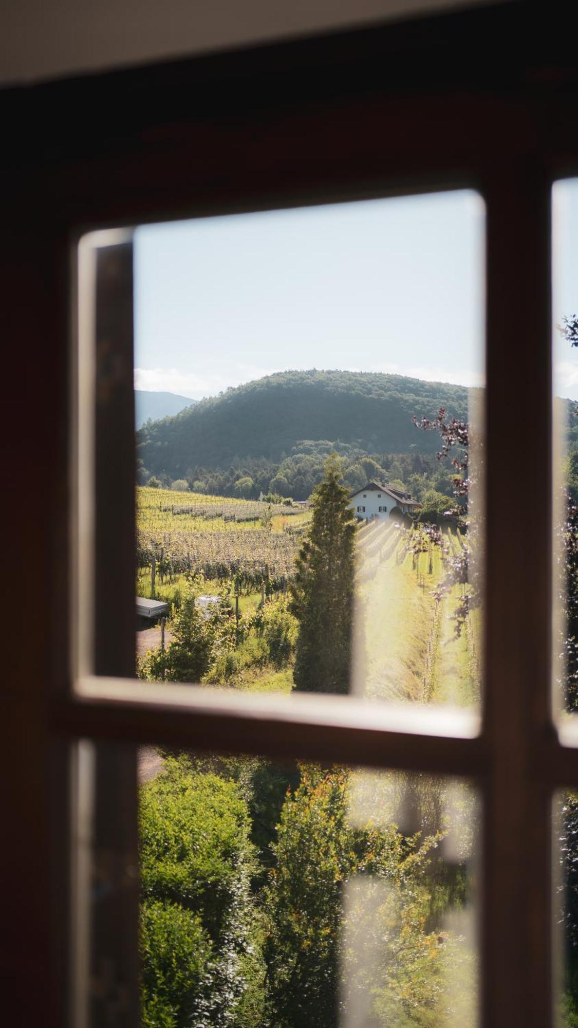 B&B Unterhabsbergerhof Appiano Sulla Strada Del Vino Bagian luar foto